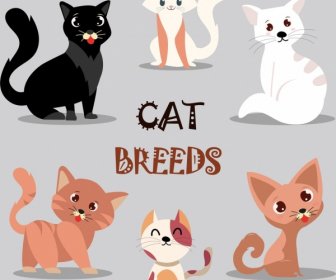 Kucing Latar Belakang Berbagai Ikon Kartun Lucu Desain