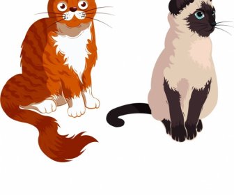 Cats Icons Colored Cartoon Characters