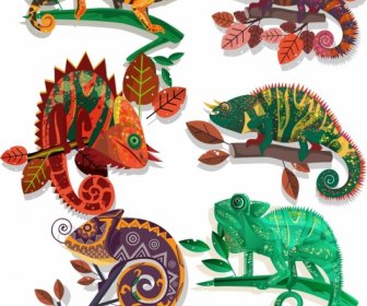 Chameleon Species Icons Colorful Flat Sketch