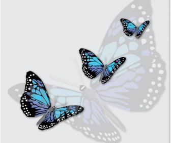 Charming Butterflies With Butterfly Background Vector Graphics