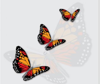 Kupu-kupu Menawan Dengan Grafis Vektor Latar Belakang Kupu-kupu