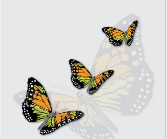 Charming Butterflies With Butterfly Background Vector Graphics