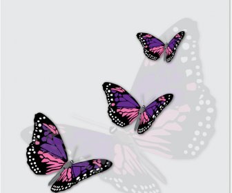 Kupu-kupu Menawan Dengan Grafis Vektor Latar Belakang Kupu-kupu