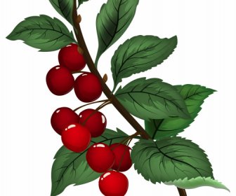 Cherry Painting Shiny Colored Classical Design