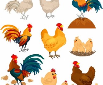 Chicken Icons Collection Colorful Cartoon Characters Design