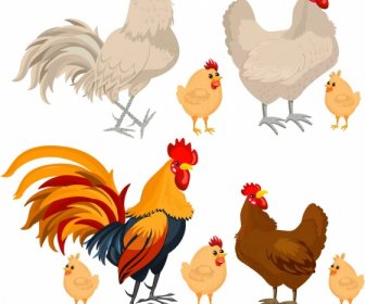 Chicken Icons Colored Cartoon Design
