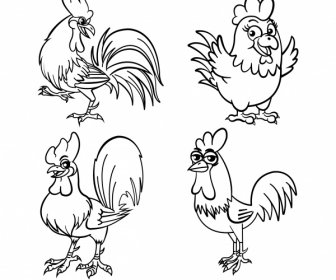 Chicken Icons Funny Sketch Black White Handdrawn Design