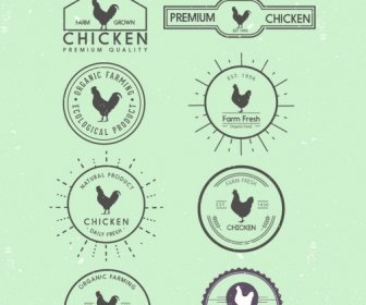 Chicken Logotypes Flat Icon Silhouette Design