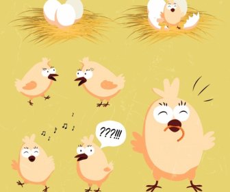 Chicks Design Elements Egg Straw Icons Cartoon Design