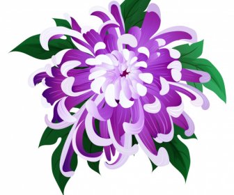 菊の花びら、紫の装飾、咲くスケッチを描く