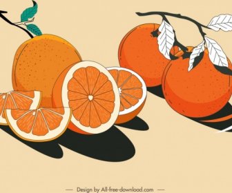 Citrus Fruits Painting Colored Retro Design