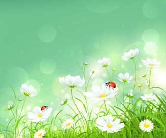 Coccinella And White Flower Shiny Background Vector