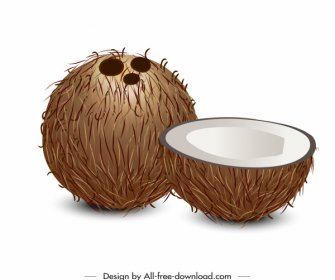 Kokosnuss-Ikone Moderne 3D-Skizze