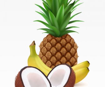 Coco Piña Y Plátano Vector
