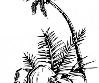 Coconut Tree Vector