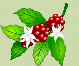 Coffee Beans Flowers Icon Shiny Multicolored Design