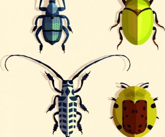 Les Icônes D'insectes Coleopterous Conception Colorée De Bogues