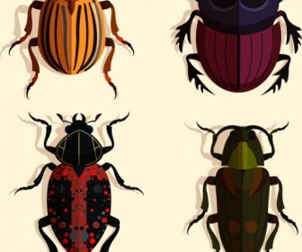 ícones De Insetos Coleópteros Design Colorido Escuro