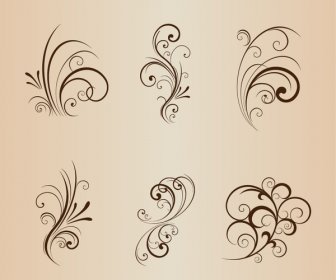 Collection Of Floral Design Elements Vector Illustration