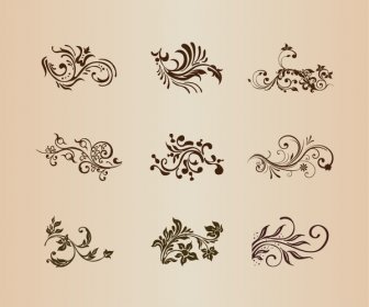 Collection Of Vector Design Floral Ornament Elements