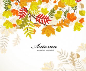 Folhas De Outono Colorido Vector Backgrounds