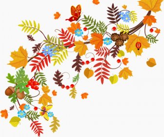 Folhas De Outono Colorido Com Vetor De Origens De Frutificação