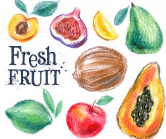 Vetores De Frutas Desenhadas Coloridas