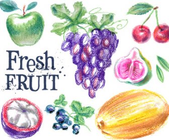 Buah-buahan Berwarna Ditarik Vektor