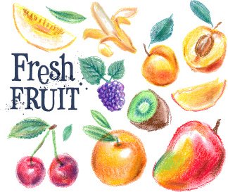 Buah-buahan Berwarna Ditarik Vektor