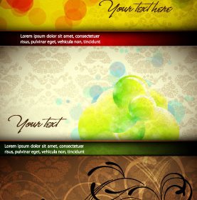 Colorful And Elegant Background Design Vector