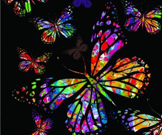 Kupu-kupu Berwarna-warni Desain Vektor