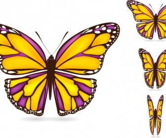 Coloridas Mariposas Con Ilustración Vectorial Realista