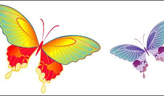 Colorful Butterfly Elements Vector