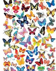 Kupu-kupu Berwarna-warni Bunga Seni Set Vektor