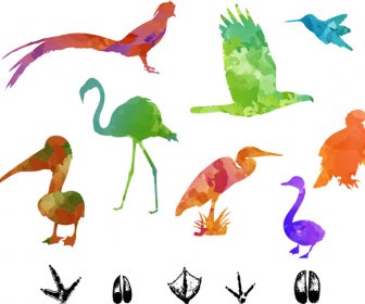 красочные Силуэты Векторный Иллюстрация птиц