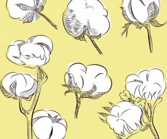 Cotton Flowers Background Hand Drawn Outline