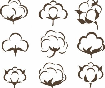 Cotton Flowers Icons Collection Various Flat Sketch