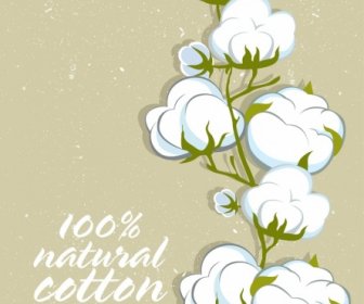 Cotton Product Banner Flower Icon Retro Design