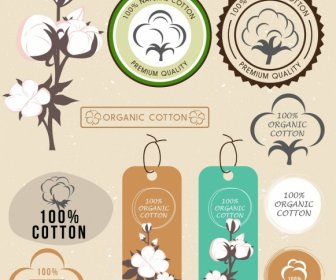 Cotton Signs Collection Flower Icon Various Shapes Isolation