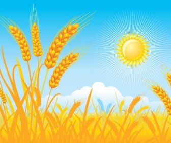 Countryside Landscape Background Cereal Field Sun Icons