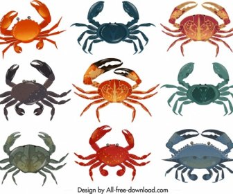 Crab Icons Collection Multicolored Design