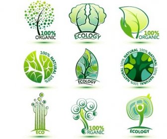 Los Iconos De La Ecología Creativa De Diseño Gráfico Vectorial