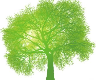 Yaratıcı Yeşil Ağaç Tasarım Vektör Grafikleri