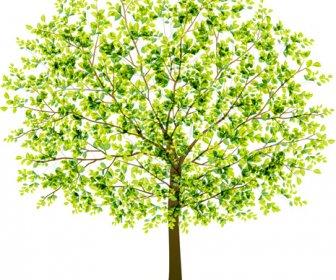Pohon Hijau Kreatif Desain Vektor Grafis