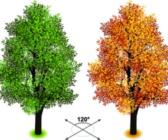 Pohon-pohon Isometrik Kreatif Desain Vektor