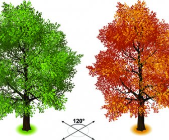 Yaratıcı Izometrik Ağaçlar Tasarlamak Vektör