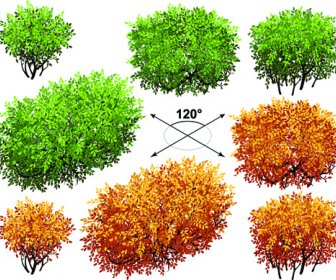 Yaratıcı Izometrik Ağaçlar Tasarlamak Vektör