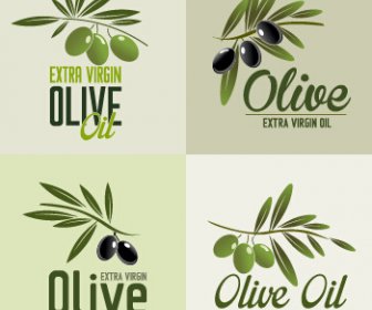 Kreative Olivenöl Logos Vektoren