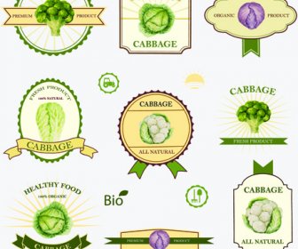 Creative Vegetables Labels Vintage Vector