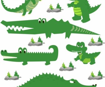 Coleção De ícones De Crocodilo Verde Estilizado Design